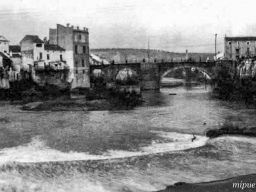 Fotos Antiguas de 1950 al 1960